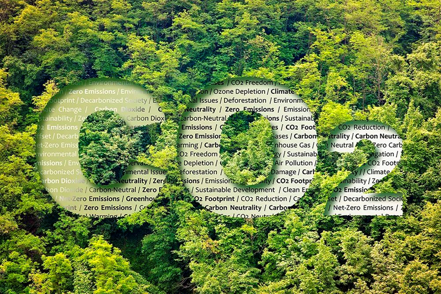 中国·拉斯维加斯5001(股份有限公司)-Official website
